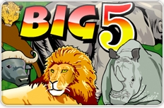 Игровые автоматы Big 5.